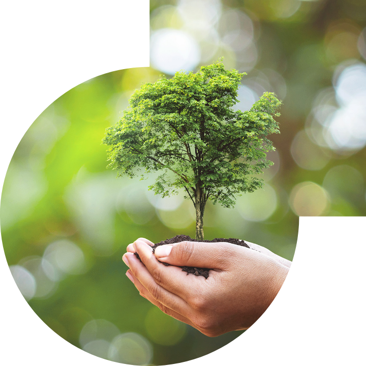 關懷人類、文化、環境與社會